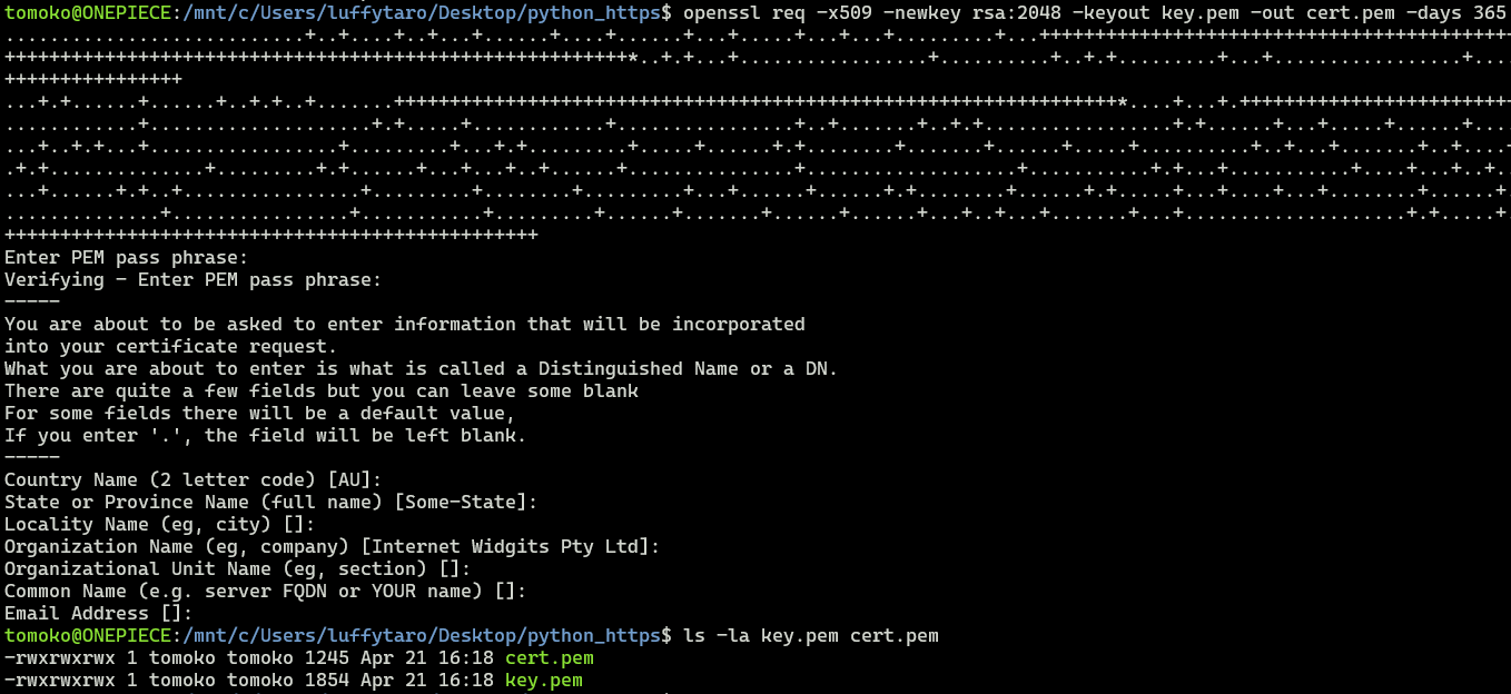 Simple python https server james li can hack